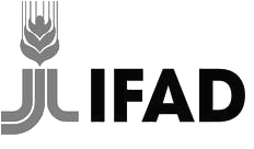 IFAD