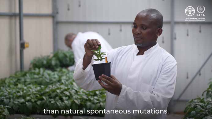 Nuclear & Related Techniques for Climate Action in Food and Agriculture
